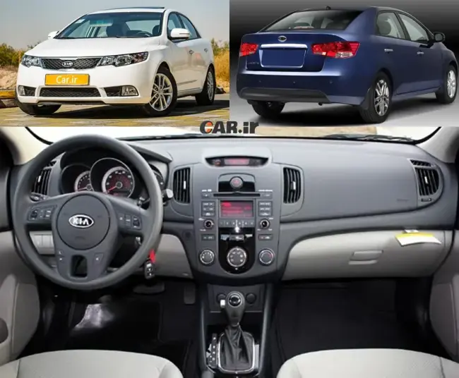 Cerato.webp