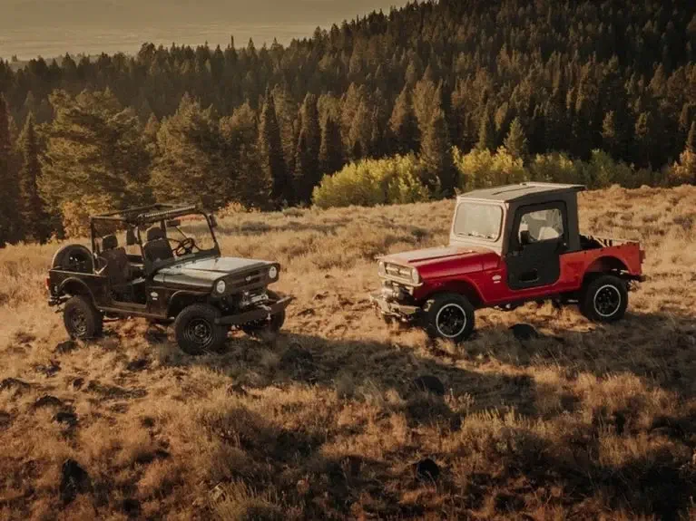 Mahindra-Roxor-3-767x575.webp
