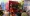 02.webp