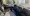 21.webp