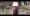 tesla-village-15.webp