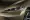 Mullen-Five-8.webp