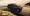 17.webp
