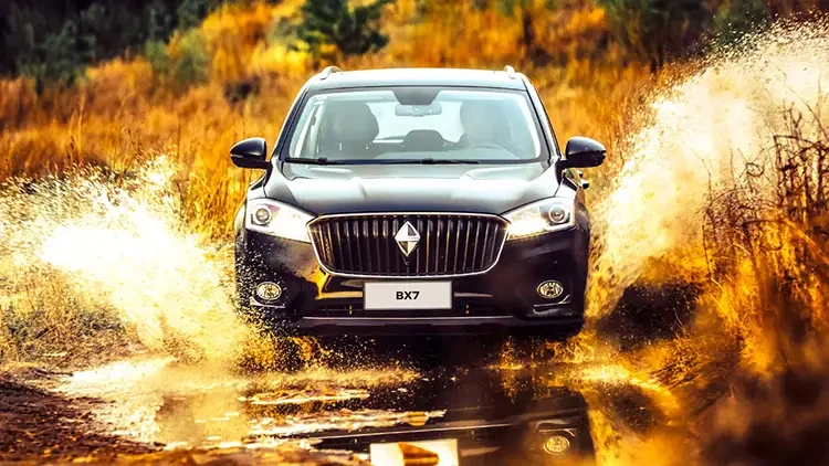 بوگوارد bx7.webp