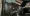 26.webp