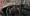 14.webp