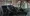 10.webp