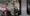 17.webp