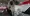 15.webp