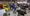 11.webp
