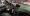 7.webp