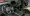 23.webp