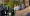 11.webp