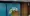15.webp
