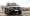 03 (2).webp