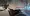 7.webp