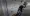 20.webp