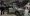 14.webp