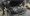 18.webp
