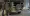 3.webp