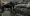 10.webp