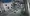 38.webp