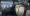 10.webp