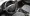 12.webp