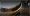 22.webp