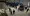13.webp