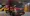16.webp