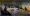 222.webp