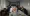 02(1).webp