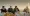 05(1).webp