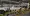 12.webp