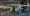 14.webp