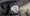 8.webp