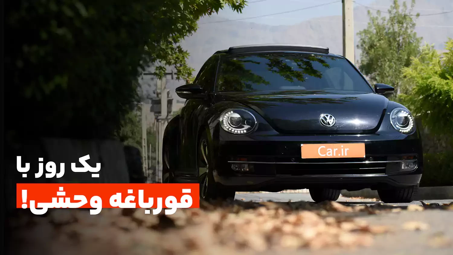 بررسی بیتل، قورباغه ی مدرن و تند و تیز فولکس واگن!