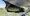 28.webp
