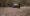 10.webp