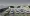 01.webp