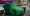 07.webp