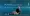 24.webp