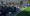 15.webp