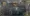 3.webp