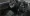 05.webp