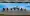08.webp