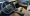 11.webp