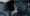 06.webp