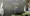 16.webp